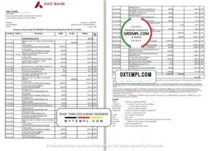 India Axis Bank statement template in Word and PDF format (2 pages)