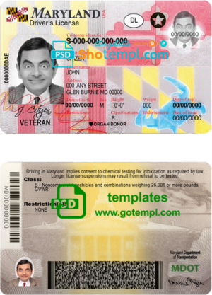UAE (United Arab Emirates) driving license template in PSD format