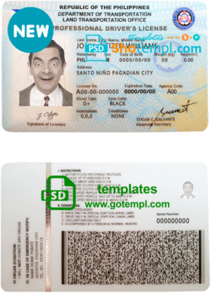 free Spain dog (animal, pet) passport PSD template, completely editable