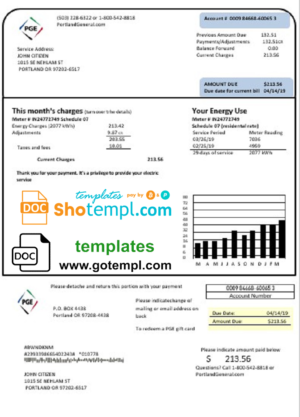 GOOGLE Inc earning statement template in Word and PDF formats