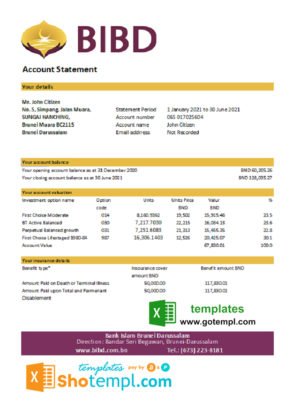 China Merchants bank proof of address statement template in Excel and PDF format