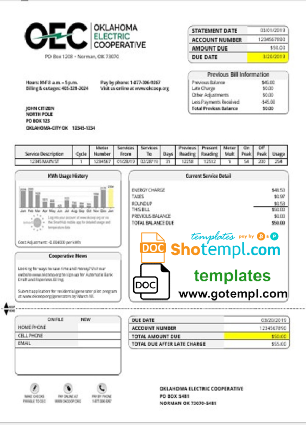 USA OEC electricity utility bill template in Word and PDF format