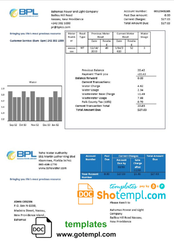 Bahamas Power and Light Company utility bill template in Word and PDF format