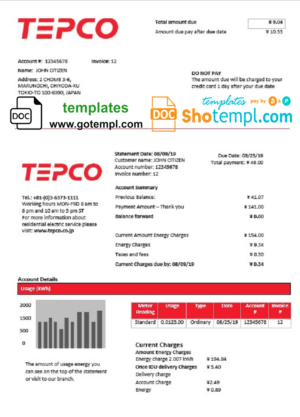 Japan Tokyo Electric Power Company electricity utility bill template in Word and PDF format