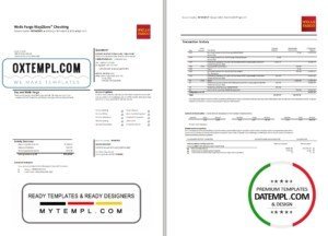 Tajikistan The First MicroFinance (FMFB) Bank statement template in .xls and .pdf file format