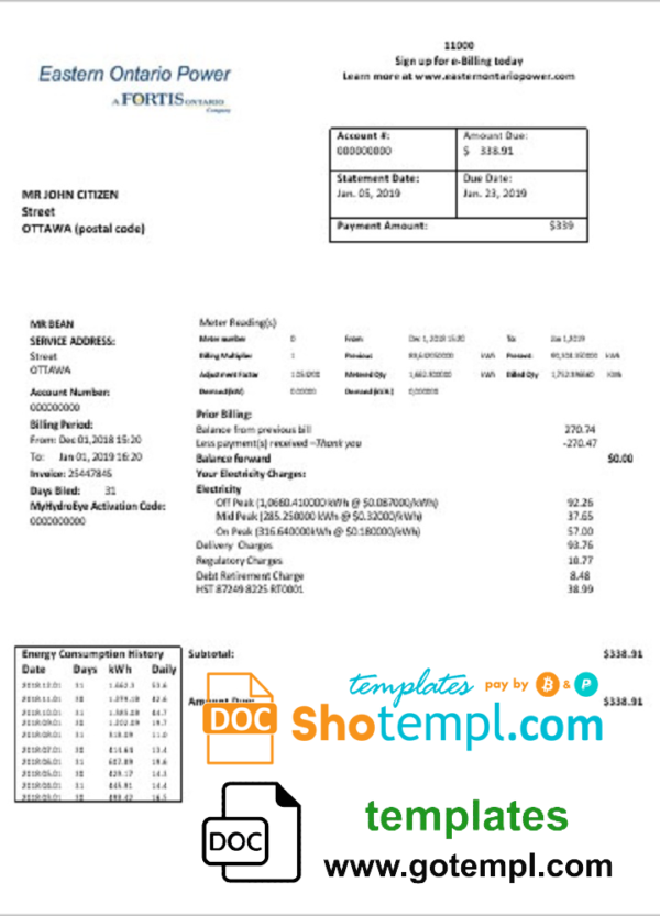 Canada Eastern Ontario Power utility bill template in Word and PDF format