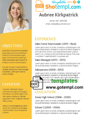 Professional CV Template in WORD format