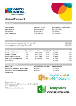 Liberia Access Bank statement Excel and PDF template