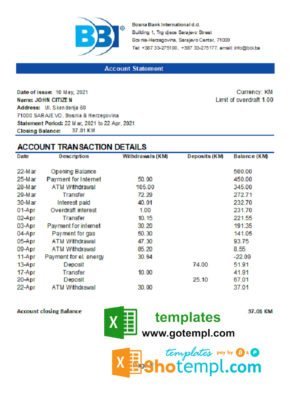 Bosnia and Herzegovina Bosna Bank International bank statement easy to fill template in Excel and PDF format (AutoSum)