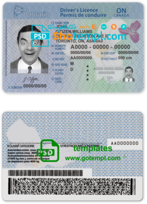 Canada Ontario driving license template in PSD format (2018 – present)