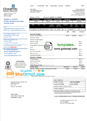 USA Florida Power & Light Company (FPL) electricity utility bill template in Word and PDF format
