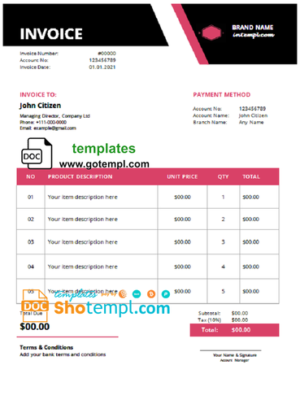 nation eternal universal multipurpose professional invoice template in Word and PDF format, fully editable