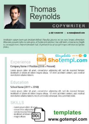 Professional Resume Template in WORD format 2