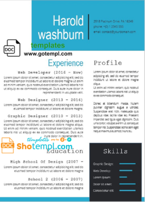 Completely Editable Professional Resume template in WORD format