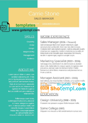 Professional CV Template in WORD format