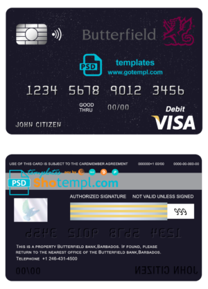 Sri Lanka Seylan Bank Plc visa debit card template in PSD format