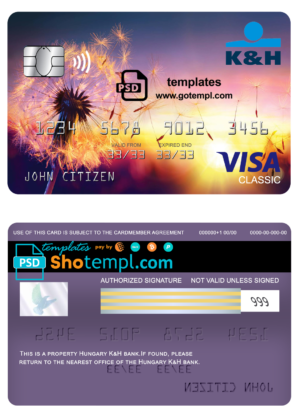 free USA cat (animal, pet) electronic passport PSD template, fully editable