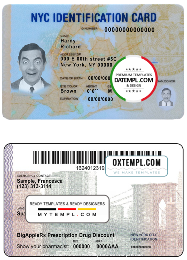 USA New York ID template in PSD format, fully editable