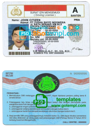 dermatology company paystub template in Word and PDF formats