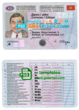 Kyrgyzstan driving license template in PSD format, fully editable