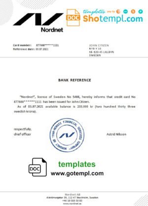Self employment pay stub Word and PDF template