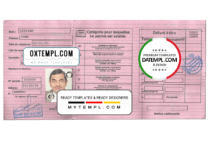 Mali driving license template in PSD format, fully editable