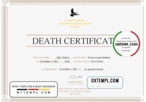 USA Certificate of Death template in Word and PDF format