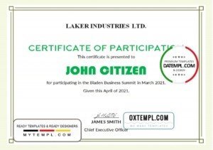 USA Modern Participation certificate template in Word and PDF format