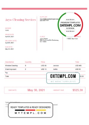 USA Arya Cleaning Services invoice template in Word and PDF format, fully editable