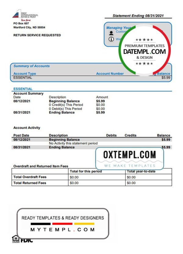 USA First International Bank & Trust bank statement template in Word and PDF format