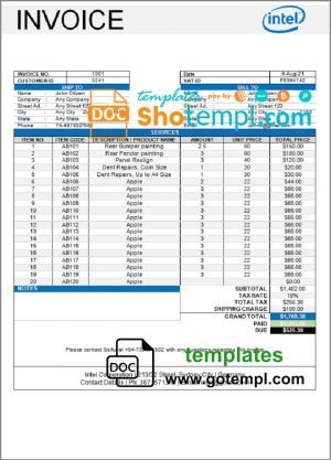 USA Intel invoice template in Word and PDF format, fully editable