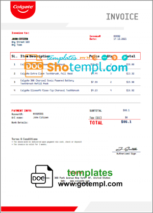 Educational consultant invoice template in word and pdf format