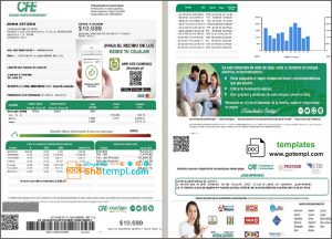 Mexico Federal Electricity Commission (CFE) utility bill template in Word format, 2 pages