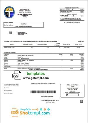 Health Power of Attorney Template example, fully editable