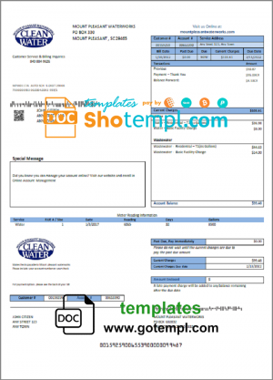 Germany Citibank bank account statement template in Word and PDF format