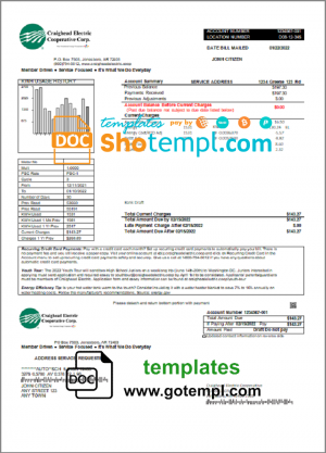 USA Craighead Electric utility bill template in Word and PDF format