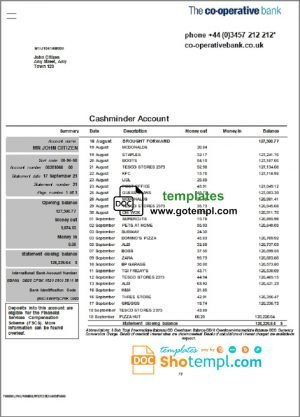 Brazil Caixa bank statement easy to fill template in Excel and PDF format