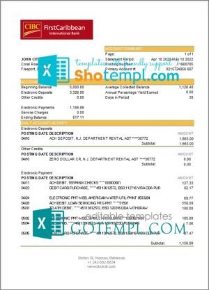 Brazil Banco do Brasil bank statement easy to fill template in Excel and PDF format