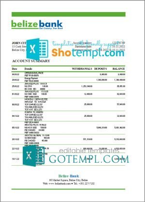 Belize bank statement template in Excel and PDF format, fully editable