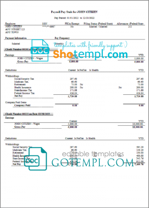 smart router pay stub template in Word and PDF format