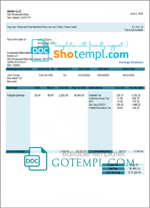 # joyful start pay stub template in Word and PDF format