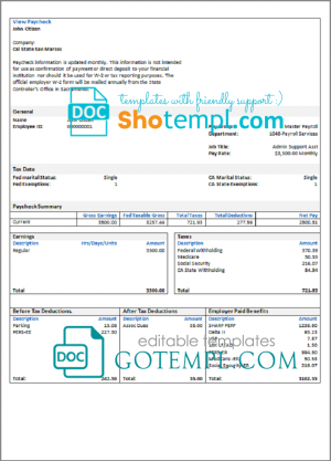# over cutely pay stub template in Word and PDF format