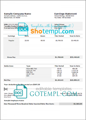 # nice job pay stub template in Word and PDF format