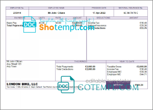 true form pay stub template in Word and PDF format