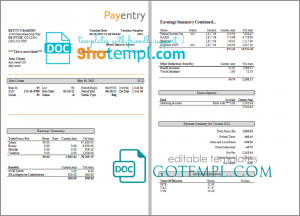 nice likes pay stub template in Word and PDF format