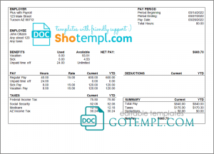 # enough good pay stub template in Word and PDF format