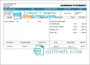 # local mind pay stub template in Word and PDF format