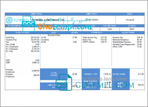 Canada BMO Bank of Montreal bank statement easy to fill template in .xls and .pdf file format (AutoSum)
