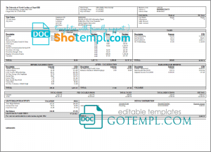 fully mind pay stub template in Word and PDF format