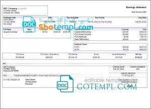 # special link pay stub template in Word and PDF format